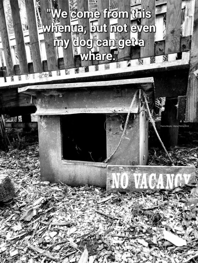 Mahi Tūkino Housing Poverty Article Image with Link
