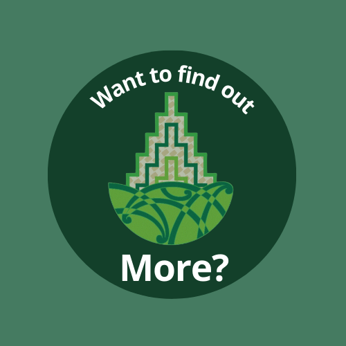 Want to know more about Te Whāriki? click here
