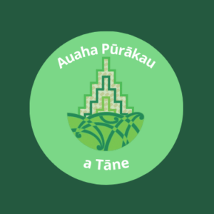 Men supporting men- Auaha Pūrākau